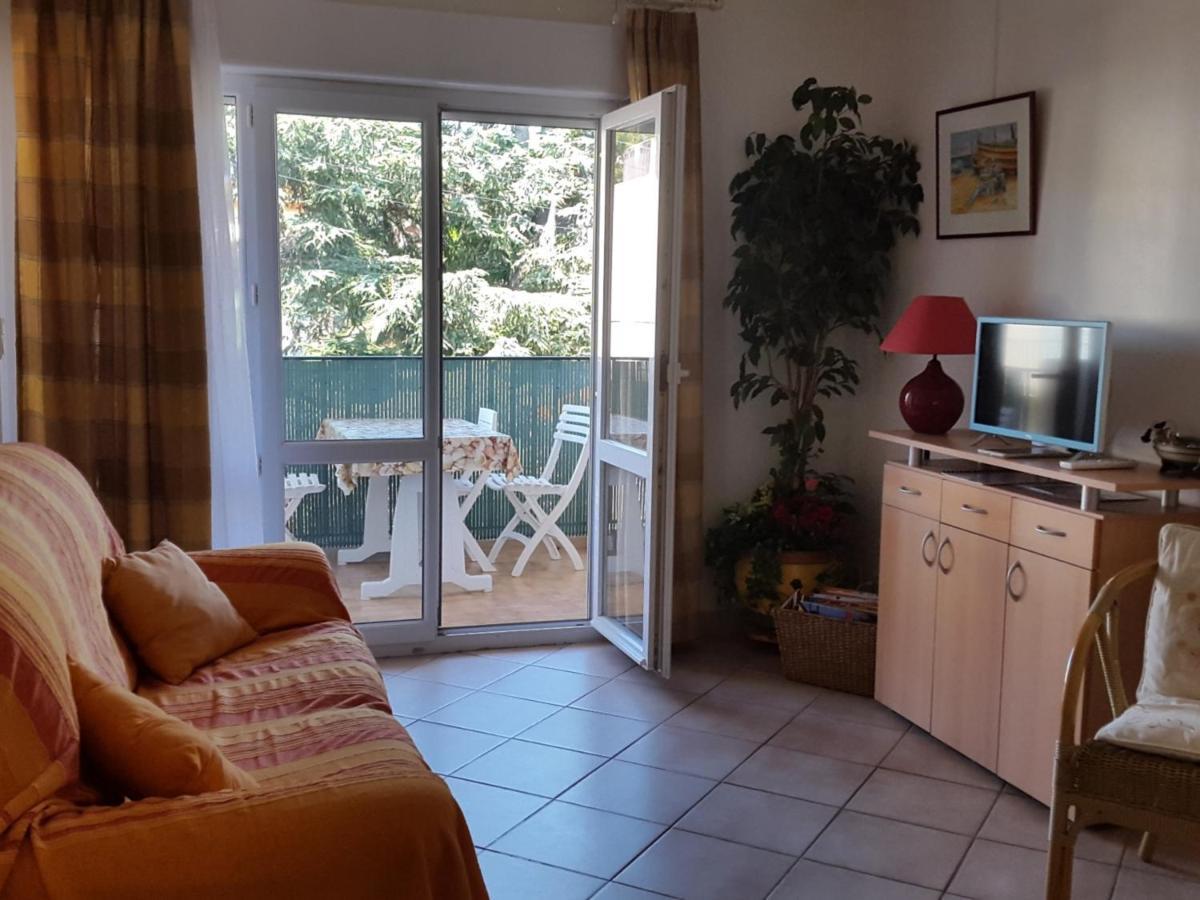 Apartment T3 Avec Wifi Et Terrasse, A 300m Du Centre Et De Collioure, Dans Calme. - Fr-1-309-246