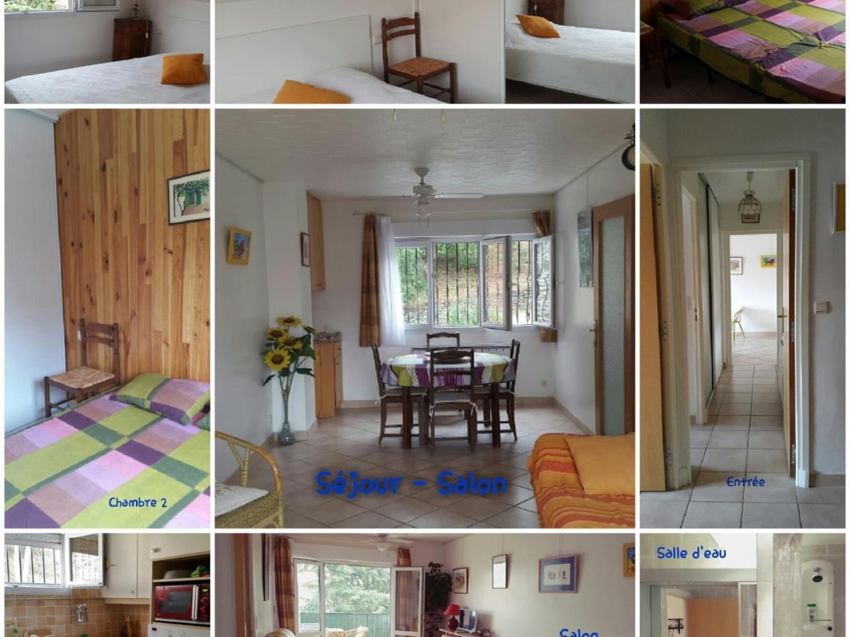 T3 Avec Wifi Et Terrasse, A 300m Du Centre Et De Collioure, Dans Calme. - Fr-1-309-246